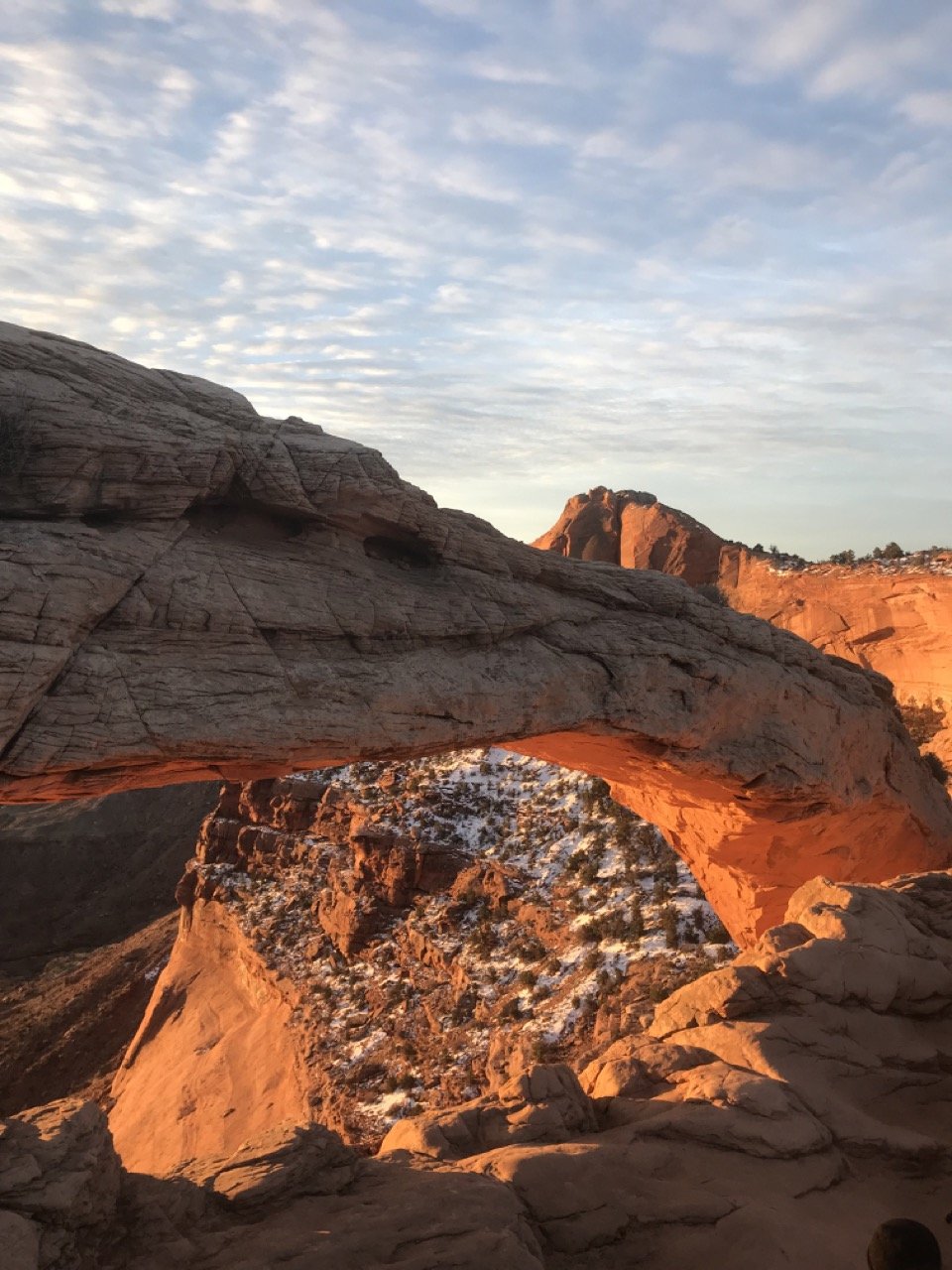 9 Fun Facts About U.S. National Parks