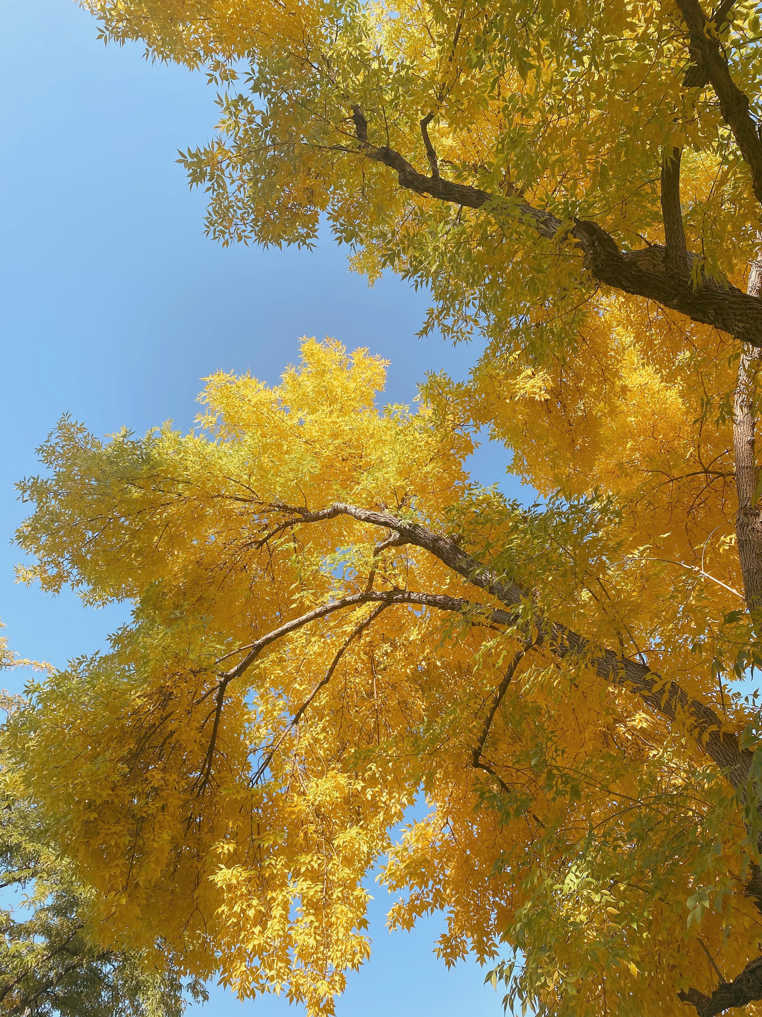 The Ultimate Autumn Checklist