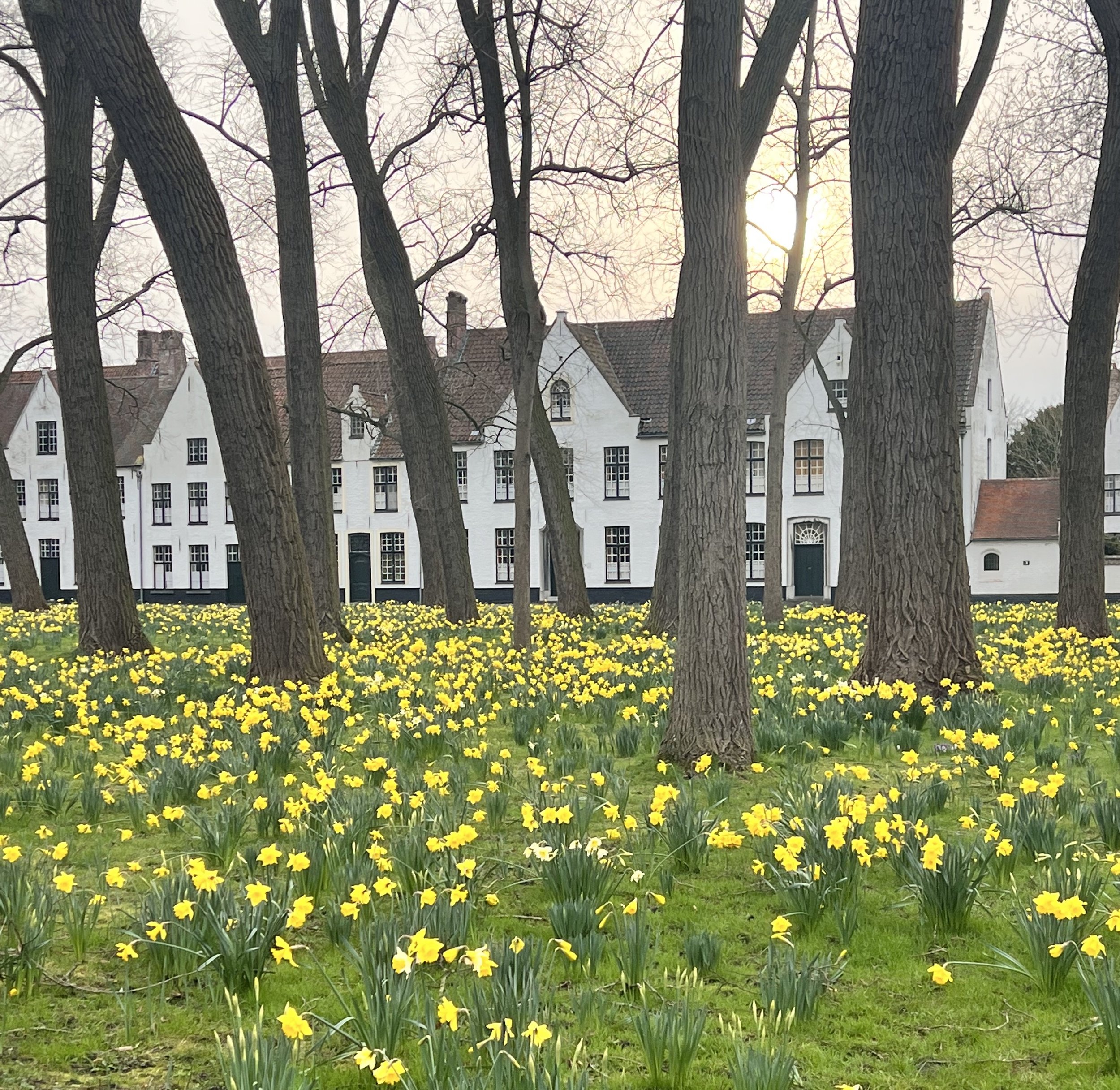 What to Do for 3 Days in Brussels