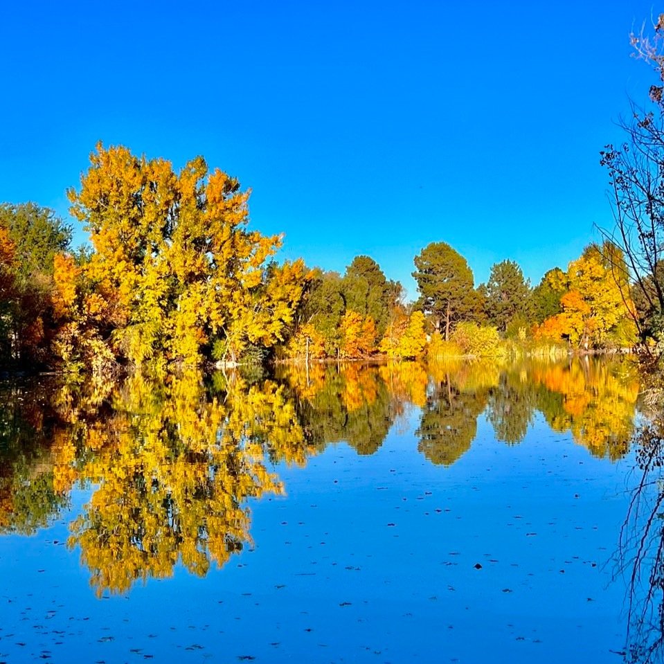 The Best National Parks to Visit for Fall Colors