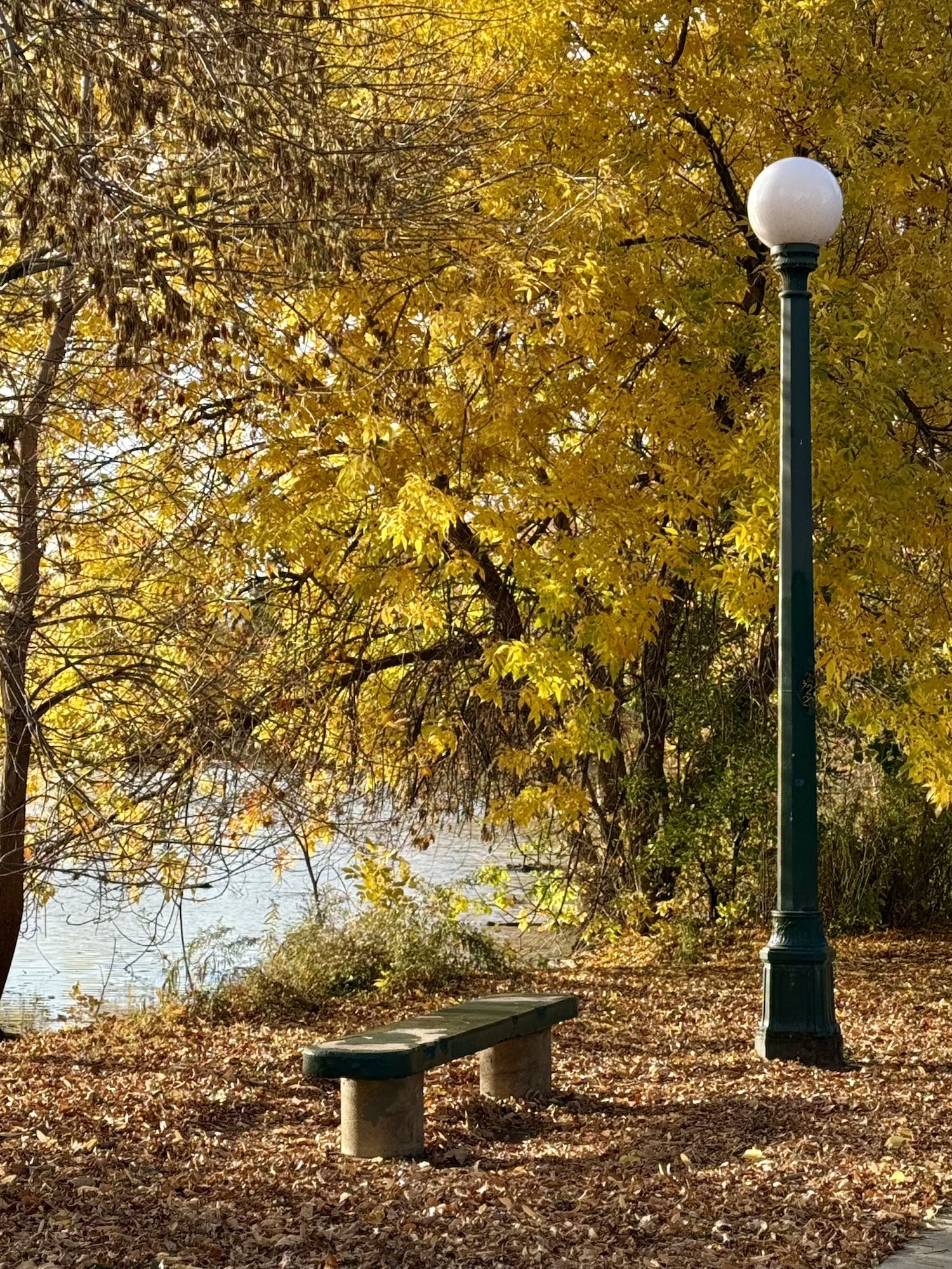 Cozy Fall Romance Books